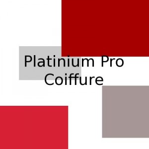 Platinium Pro Coiffure