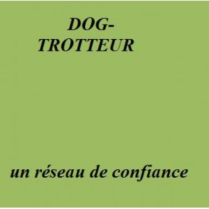 Dog-Trotteur