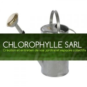 Chlorophylle