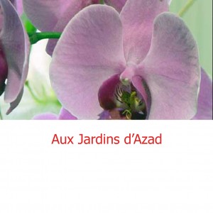 Aux jardins d'Azad