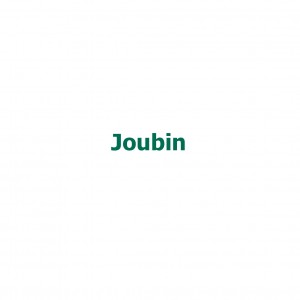 Joubin