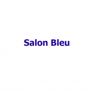 Salon Bleu