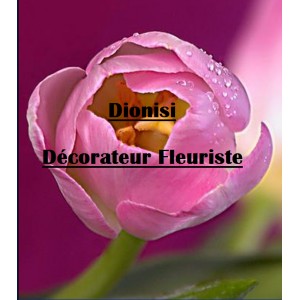 Dionisi Fleuriste Décorateur