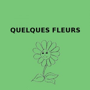 Quelques Fleurs