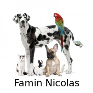 Famin Nicolas