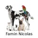 Famin Nicolas