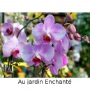 Au Jardin Enchanté